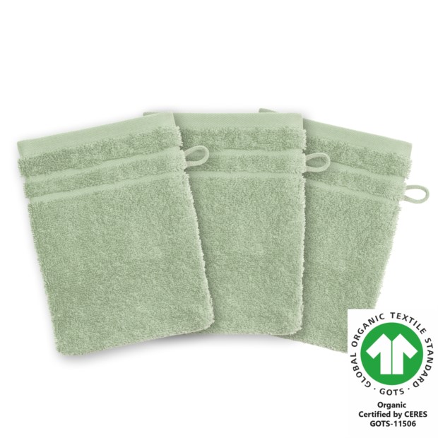 Waschhandschuh 17x22 cm 3er Pack helloliv 646