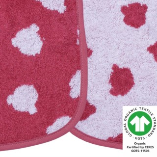 Jac. Teddy rot