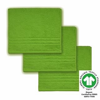 G�stetuch 30x50 cm 3er Pack kiwi 616