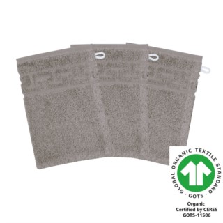 Waschhandschuh 17x22 cm 3er Pack esche