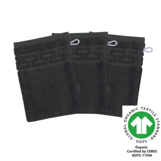 Waschhandschuh 17x22 cm 3er Pack graphit
