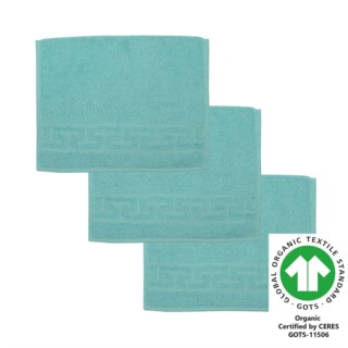 G�stetuch 30x50 cm 3er Pack aqua sky