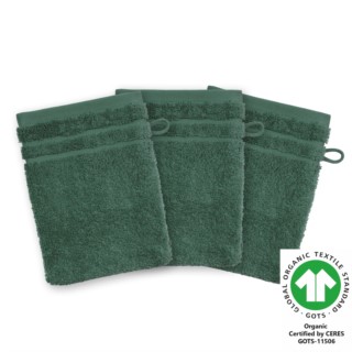 Waschhandschuh 17x22 cm 3er Pack pinie 636