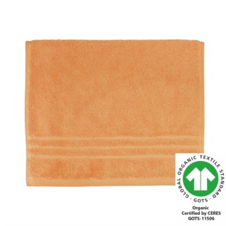 G�stetuch 30x50 cm camel 546