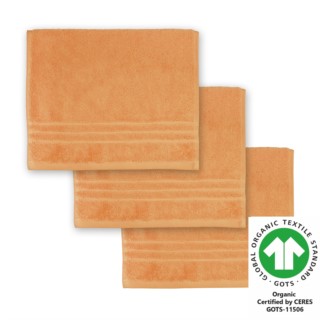 G�stetuch 30x50 dm 3er Pack camel 546