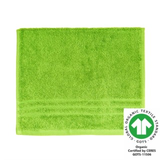 G�stetuch 30x50 cm  kiwi 616