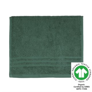 G�stetuch 30x50 cm pinie 636