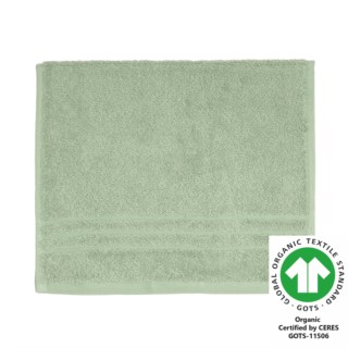 G�stetuch 30x50 cm helloliv 646